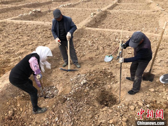 資料圖為建行青海省分行綠化區(qū)施工隊(duì)隊(duì)員處理亂石?！〗ㄐ星嗪Ｊ》中泄﹫D