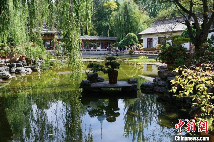 圖為西寧園林植物園秋日風(fēng)景別有韻味?！●R銘言 攝