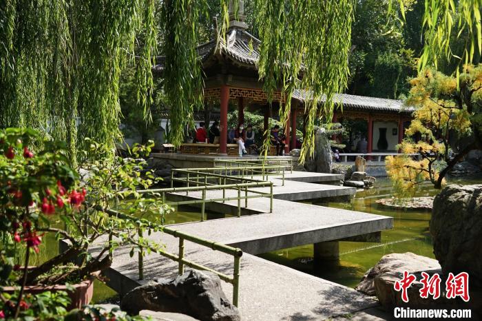 圖為西寧園林植物園秋日風(fēng)景別有韻味。　馬銘言 攝