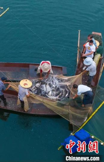捕魚現(xiàn)場?！≈鬓k方供圖