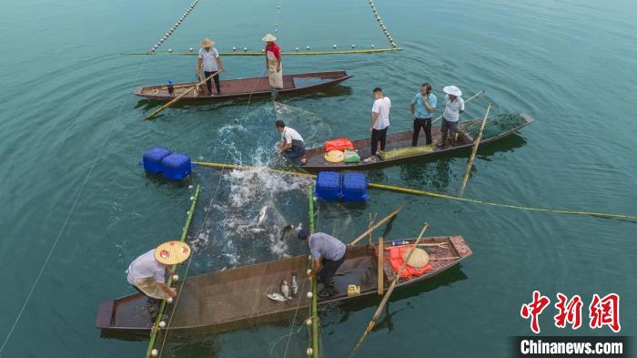 捕魚現(xiàn)場?！≈鬓k方供圖