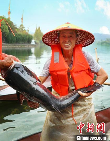 工作人員展示捕撈成果?！≈鬓k方供圖