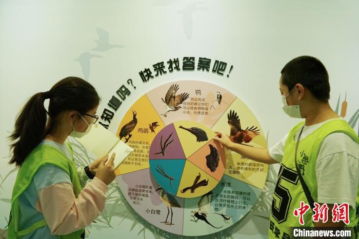圖為小朋友在青海西寧湟水國家濕地公園科普館內(nèi)參觀學(xué)習(xí)?！●R銘言 攝