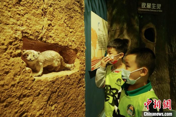 圖為小朋友在青海西寧湟水國家濕地公園科普館內(nèi)參觀學(xué)習(xí)?！●R銘言 攝