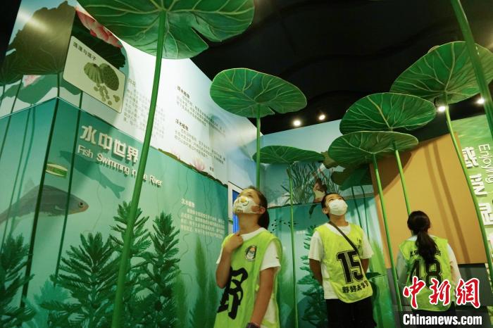 圖為小朋友在青海西寧湟水國家濕地公園科普館內(nèi)參觀學(xué)習(xí)?！●R銘言 攝