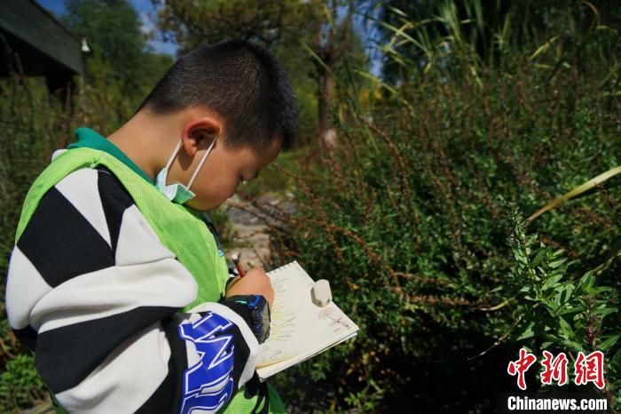 圖為小朋友在青海西寧湟水國家濕地公園內(nèi)認(rèn)識植物并進(jìn)行繪畫。　馬銘言 攝