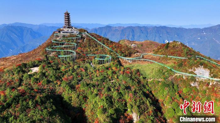 巴山大峽谷彩林迎來最佳觀賞期?！∫κ?攝