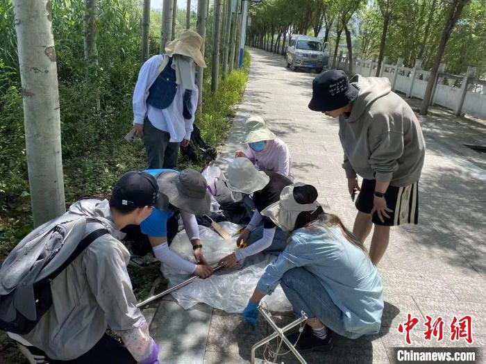 圖為科研人員正在進(jìn)行監(jiān)測。　西寧湟水國家濕地公園供圖
