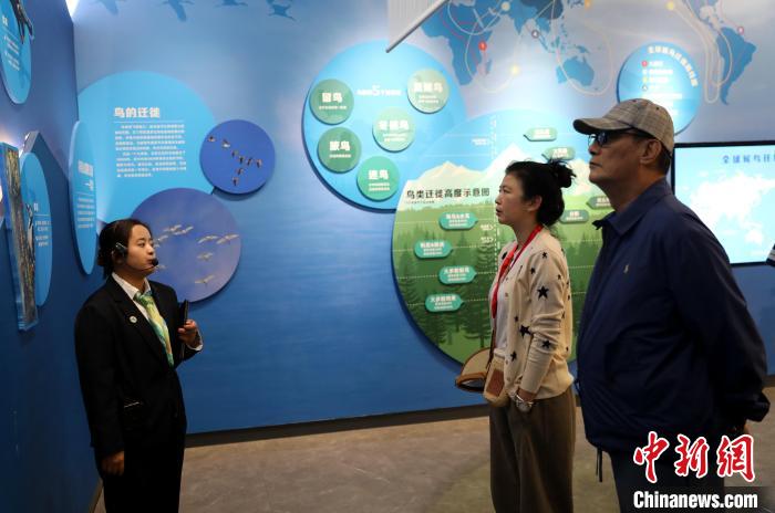 圖為臺商在祁連山國家公園生態(tài)科普館內(nèi)聆聽講解?！⊙Φ?攝