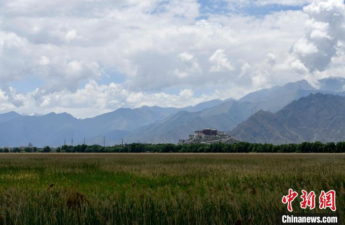 圖為拉薩拉魯濕地?！±盍?攝