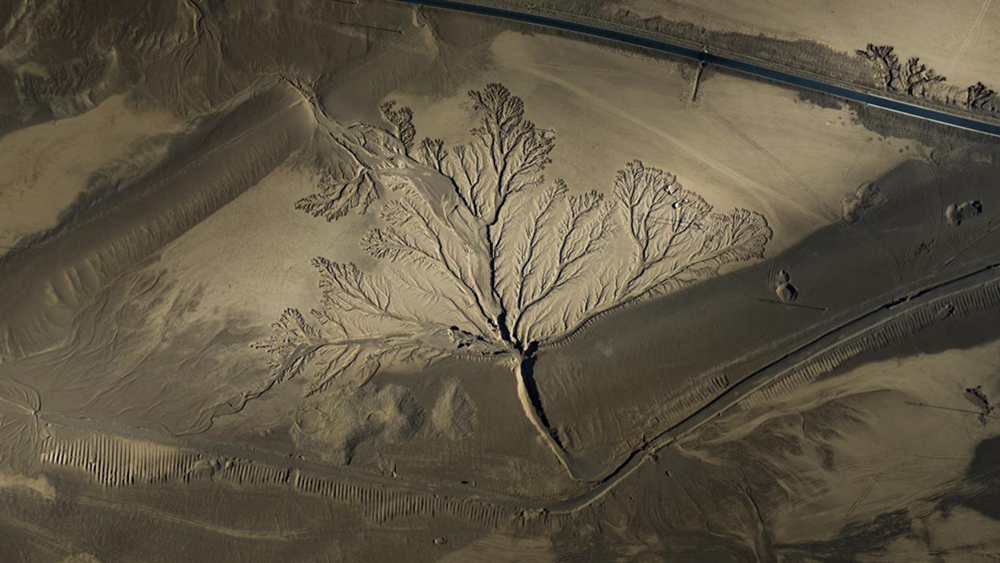 無人機(jī)視角下的西藏阿里地區(qū)改則縣“大地之樹”景觀。尼瑪多吉攝