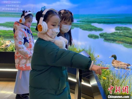 圖為學(xué)生在西寧市第一中學(xué)濕地科普宣教館內(nèi)參觀。　李江寧 攝