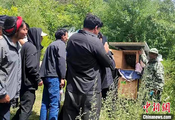 拉久西村村民學(xué)習(xí)養(yǎng)蜂工作流程和防范事項。　昌都市芒康縣委宣傳部供圖