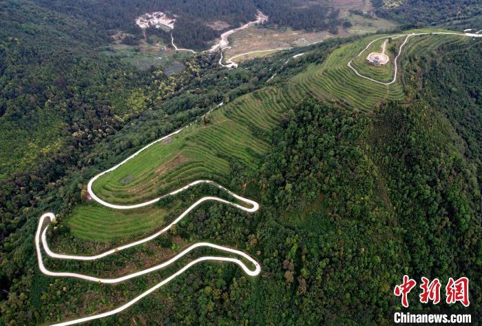 圖為西藏林芝市墨脫縣背崩鄉(xiāng)格林村山頂?shù)木坝^茶園。(無人機(jī)照片) 李林 攝