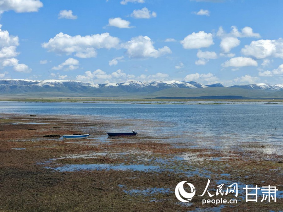 夏日的尕海湖風(fēng)情萬種。人民日報(bào)記者 銀燕攝