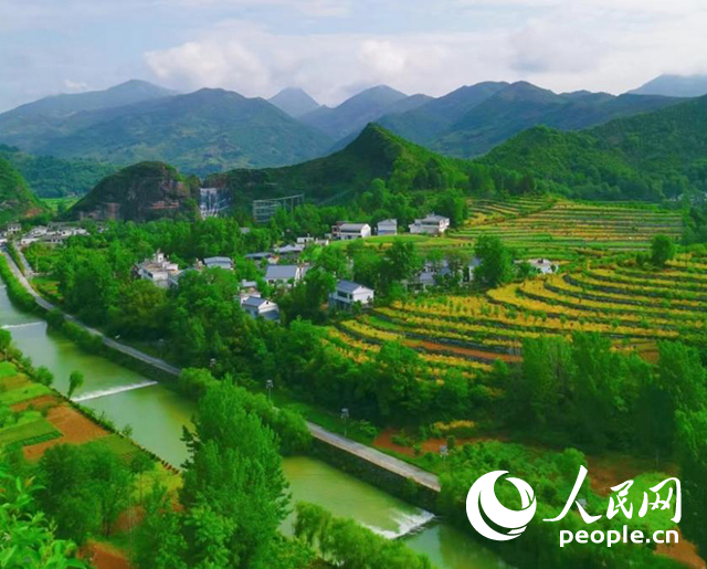 陜西商洛漫川關(guān)鎮(zhèn)民宿群。人民網(wǎng) 王麗攝