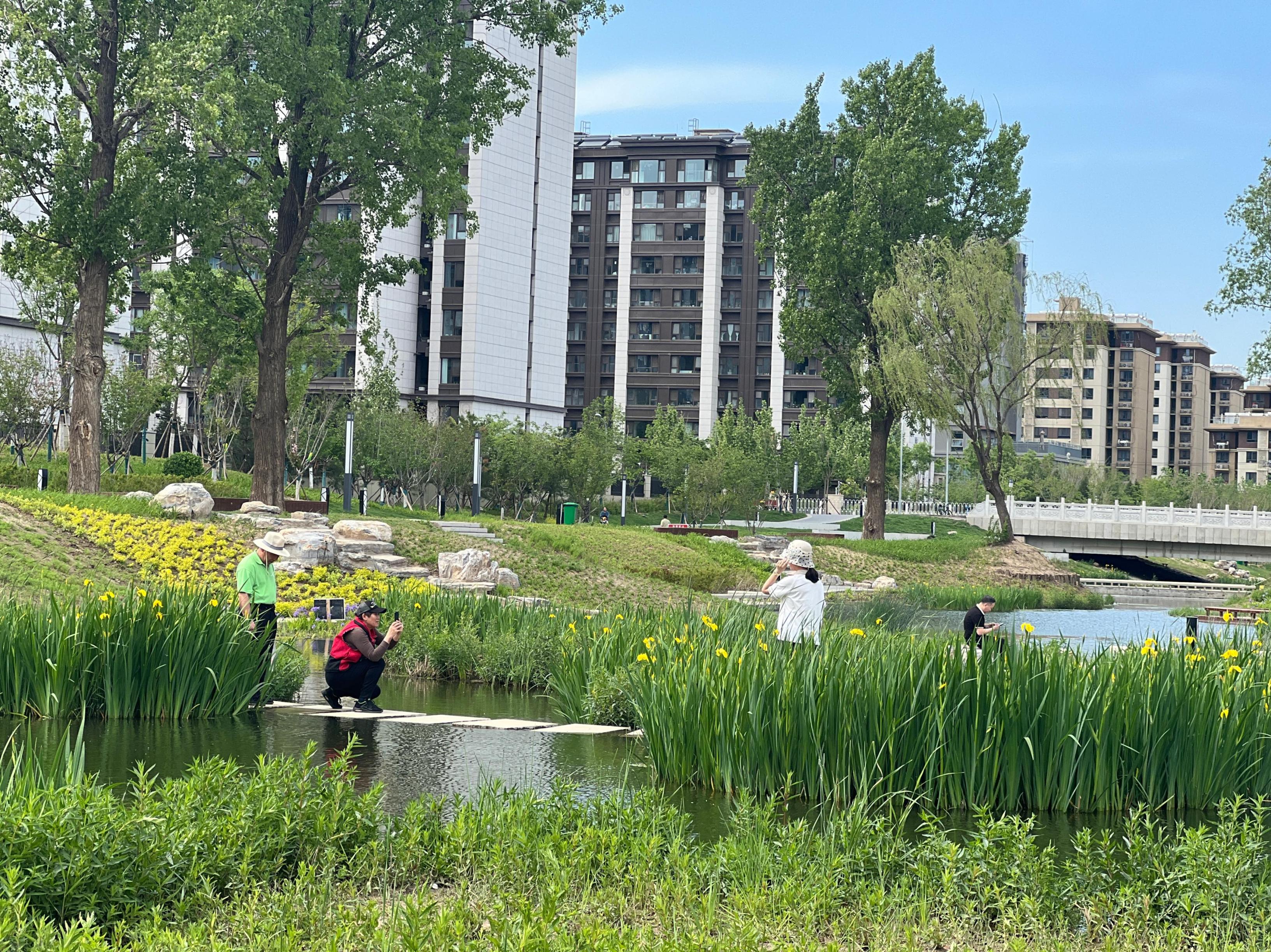 五一渠生態(tài)濱河公園內(nèi)，市民正在拍照留念。人民網(wǎng) 歐陽易佳攝