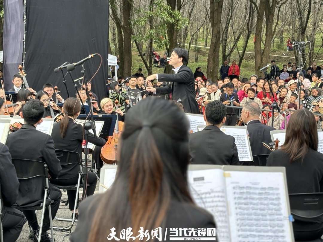 貴陽路邊音樂會·貴安櫻花園專場交響樂現(xiàn)場。丁亞 文丹 攝