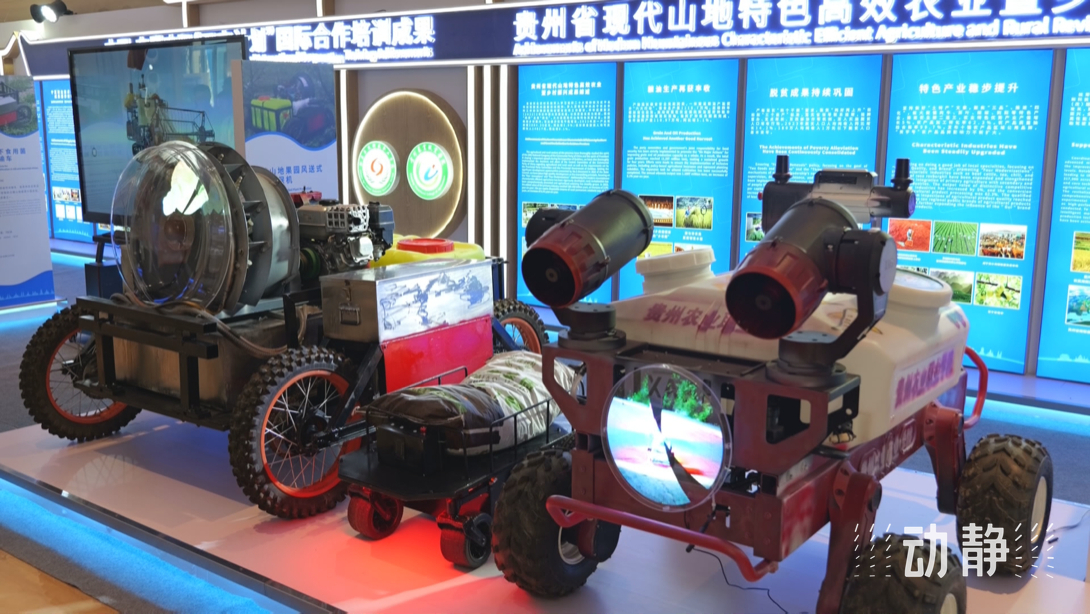 展示成果分享經(jīng)驗(yàn)，中國—東盟教育交流周深化合作共創(chuàng)未來！