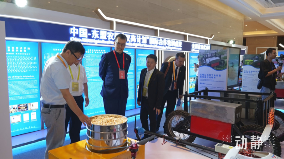 展示成果分享經(jīng)驗(yàn)，中國—東盟教育交流周深化合作共創(chuàng)未來！