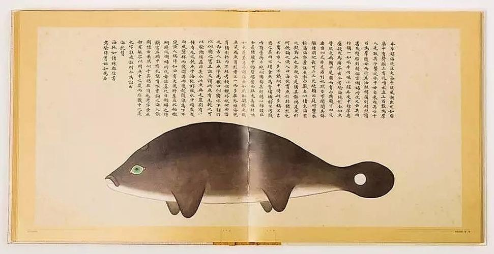 文化中國行 長江之歌丨微笑的江豚，從四千年前“游”來