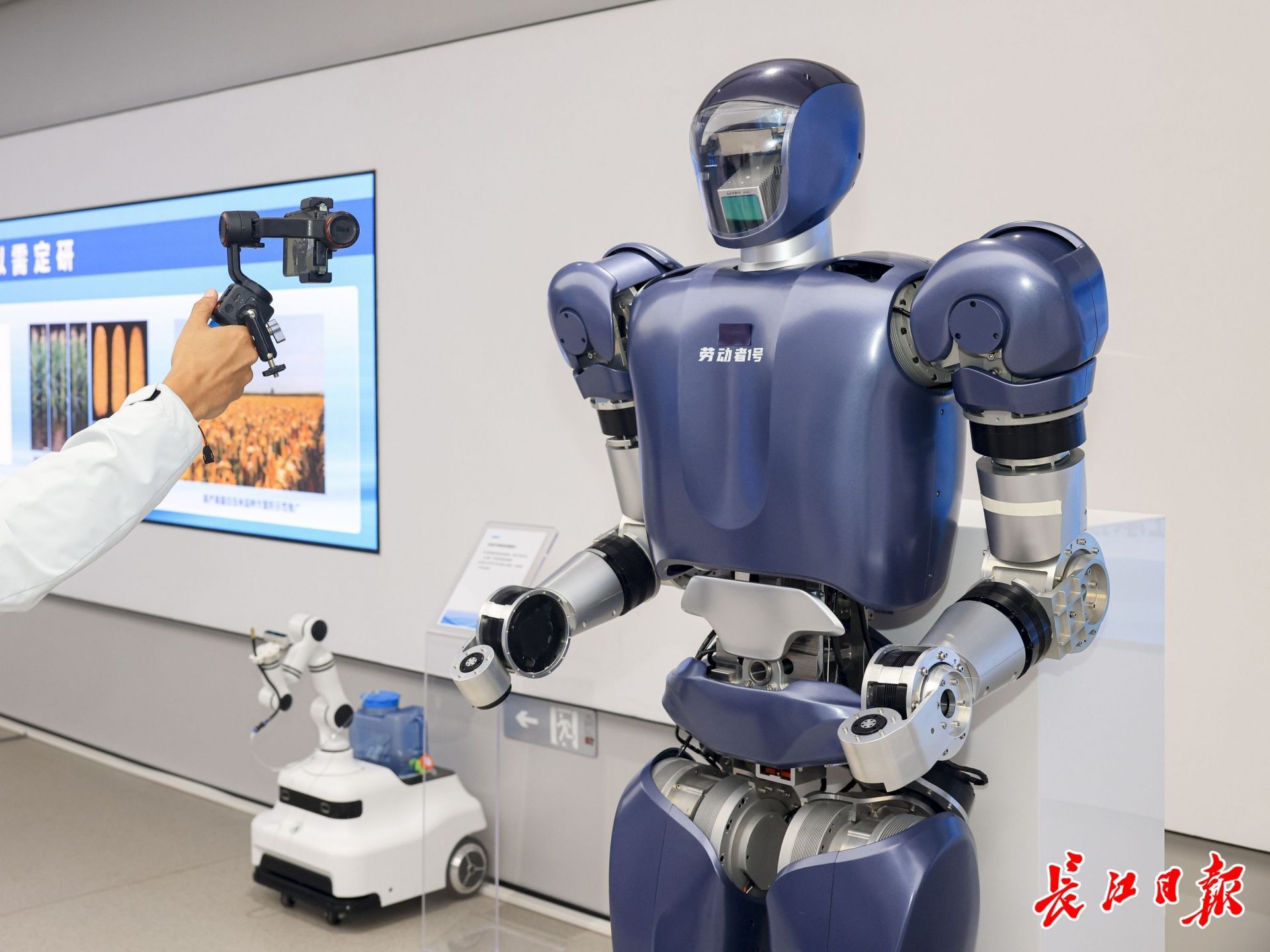 格藍(lán)若人形機(jī)器人。長江日?qǐng)?bào)記者胡冬冬 攝