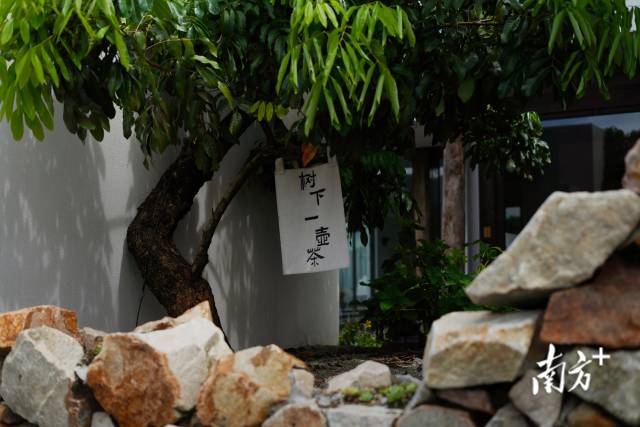 崖口村內(nèi)的文藝民宿。