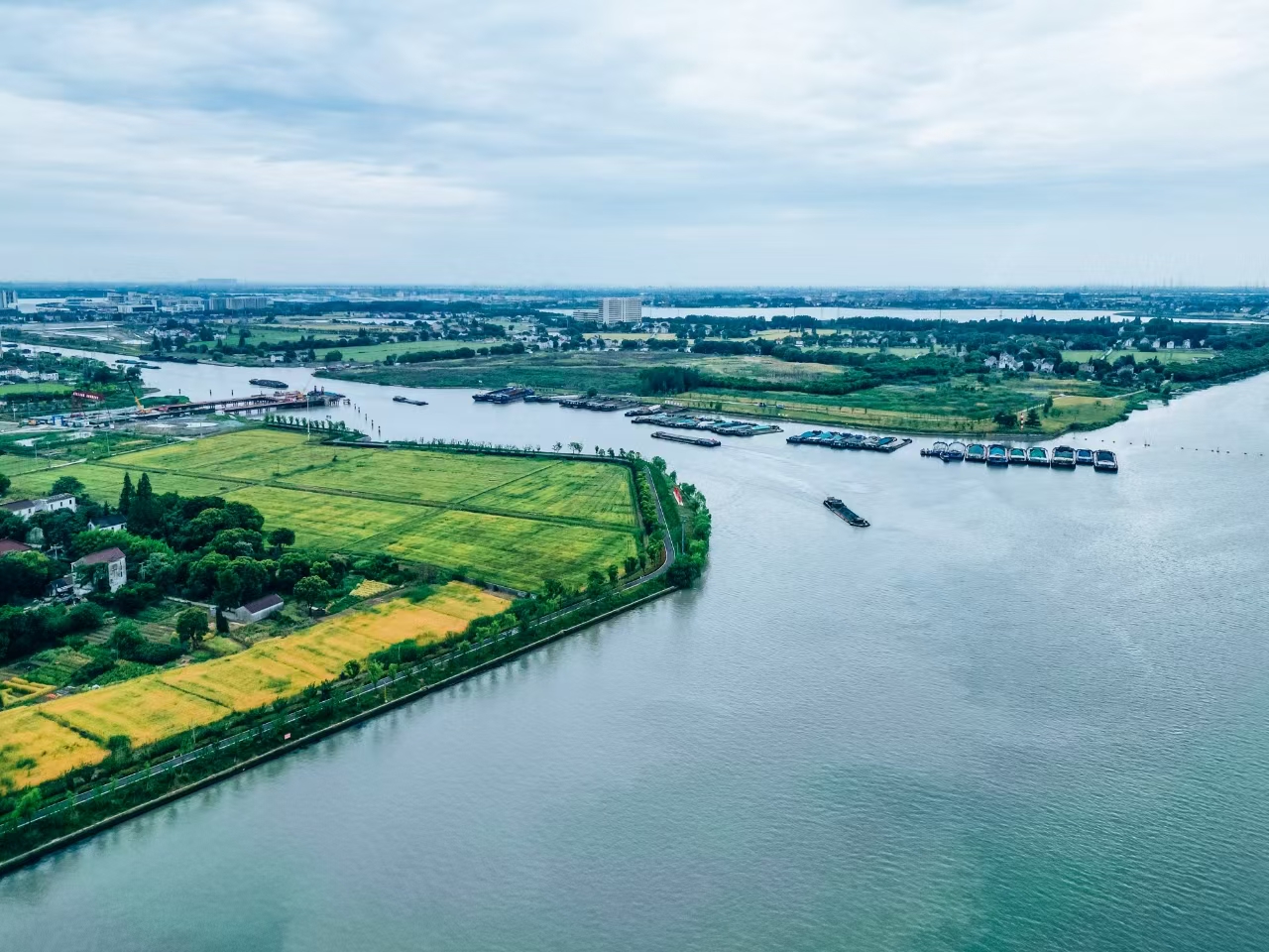 太浦河沿岸好風(fēng)光。吳橫軒攝