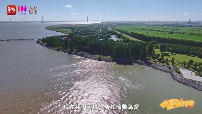 “縣”在起筆 青綠繪江山 | 江灣沐曉：褪去“銹色”走“金線”，繡出生態(tài)與產(chǎn)業(yè)“雙面錦”