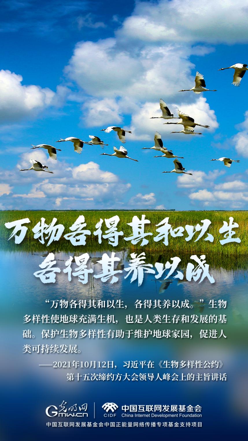 “兩山”理念與美麗中國丨濕地與候鳥，一場歲歲年年的相守