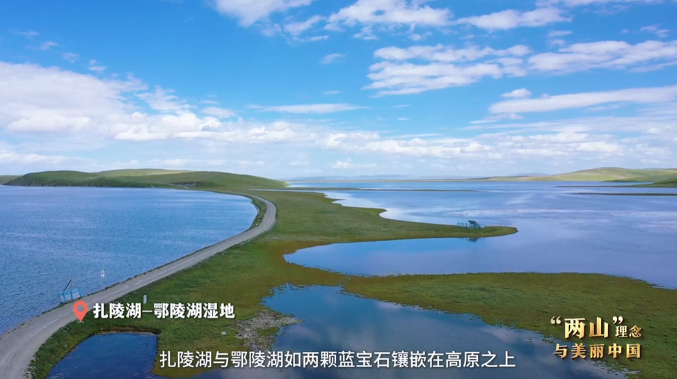 “兩山”理念與美麗中國丨濕地與候鳥，一場歲歲年年的相守