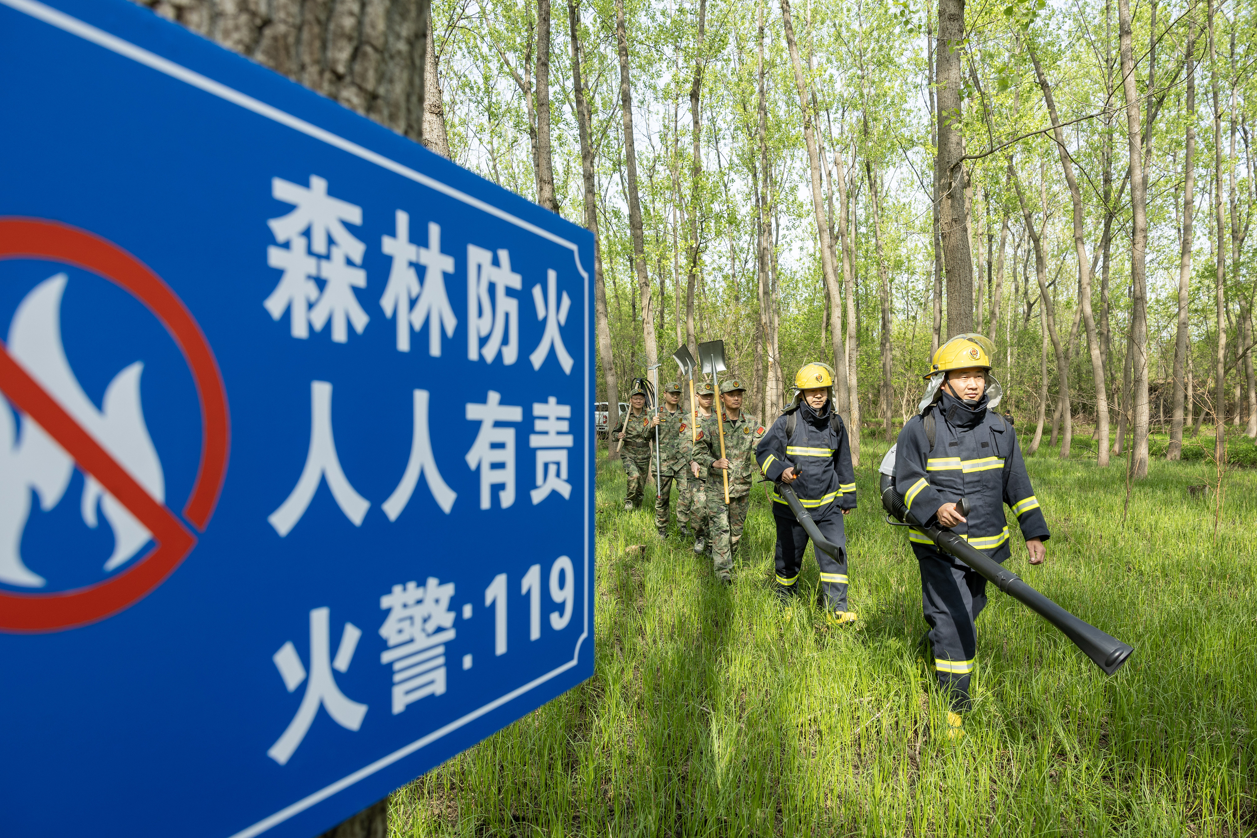 2024年4月9日，合肥市大房郢水庫(kù)水源保護(hù)地廬陽(yáng)經(jīng)濟(jì)開(kāi)發(fā)區(qū)段，基干民兵正在林間巡查火災(zāi)隱患。