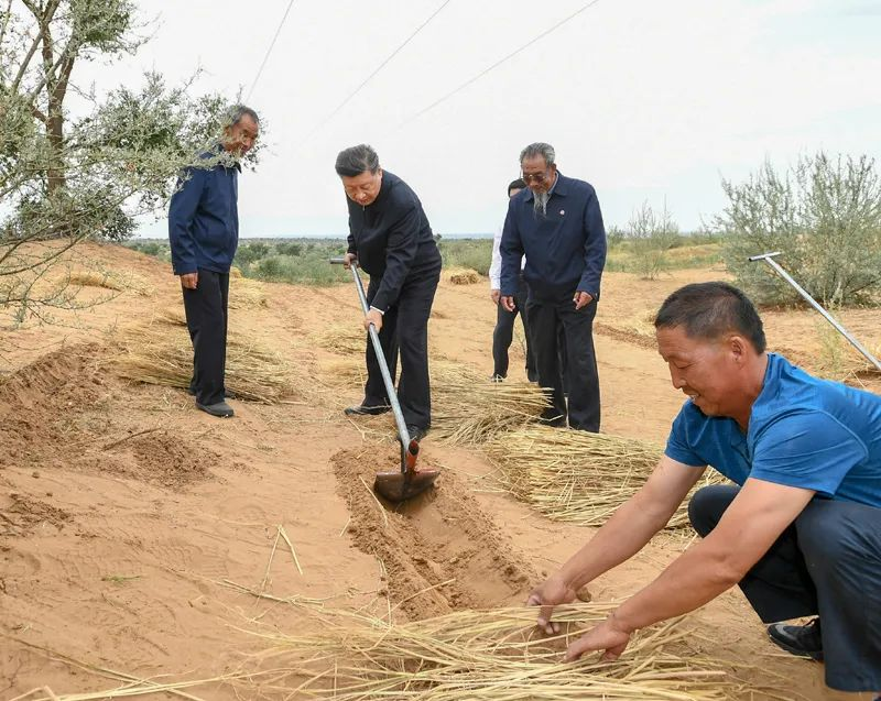 2019年8月21日，習近平來到甘肅省武威市古浪縣八步沙林場，實地察看當?shù)刂紊吃炝?、生態(tài)保護等情況。新華社記者 謝環(huán)馳 攝