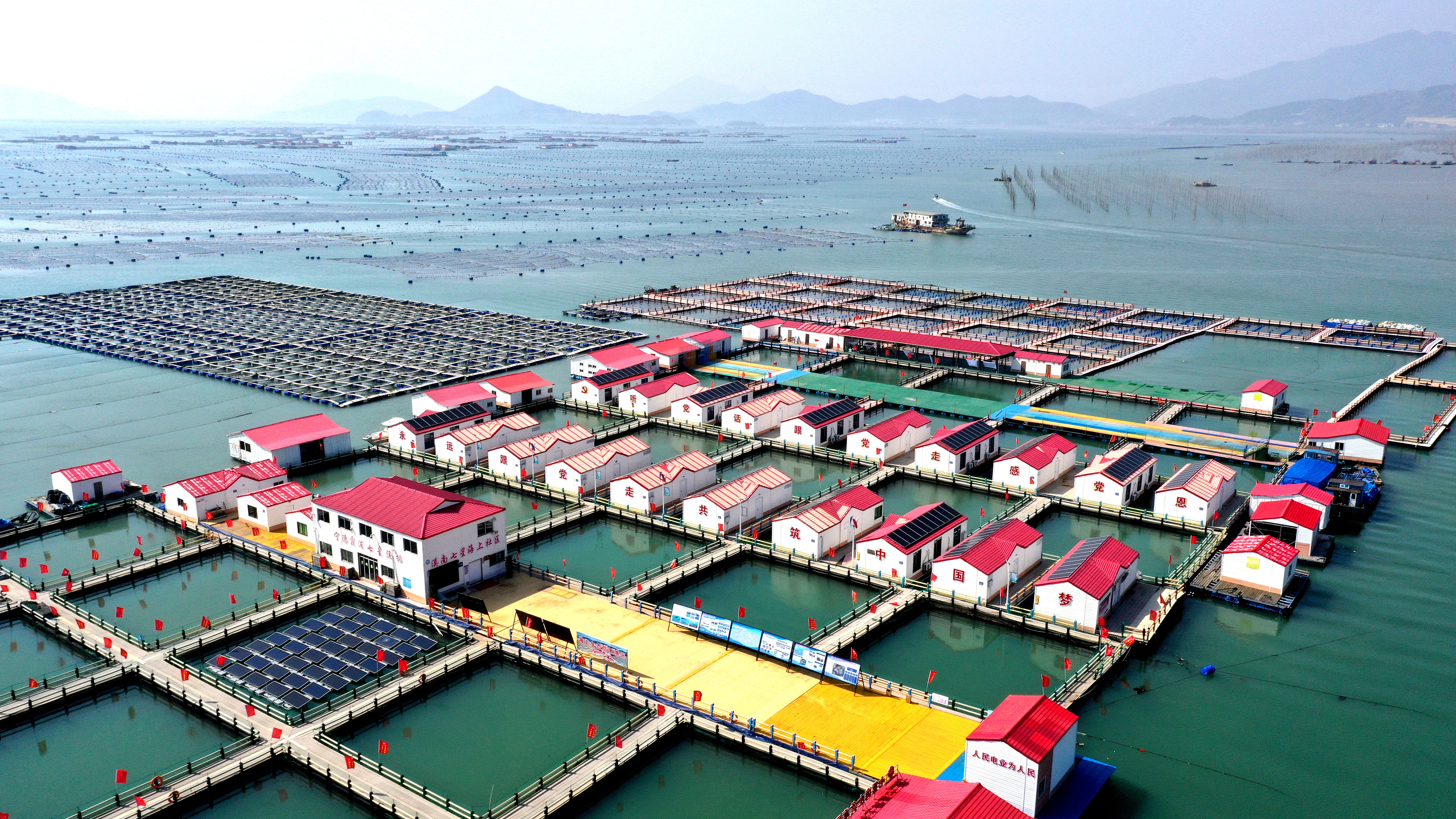 2024年3月20日，福建省寧德市，霞浦縣溪南鎮(zhèn)七星村漁排養(yǎng)殖示范區(qū)，漁民駕駛養(yǎng)殖船進(jìn)行海參養(yǎng)殖作業(yè)。