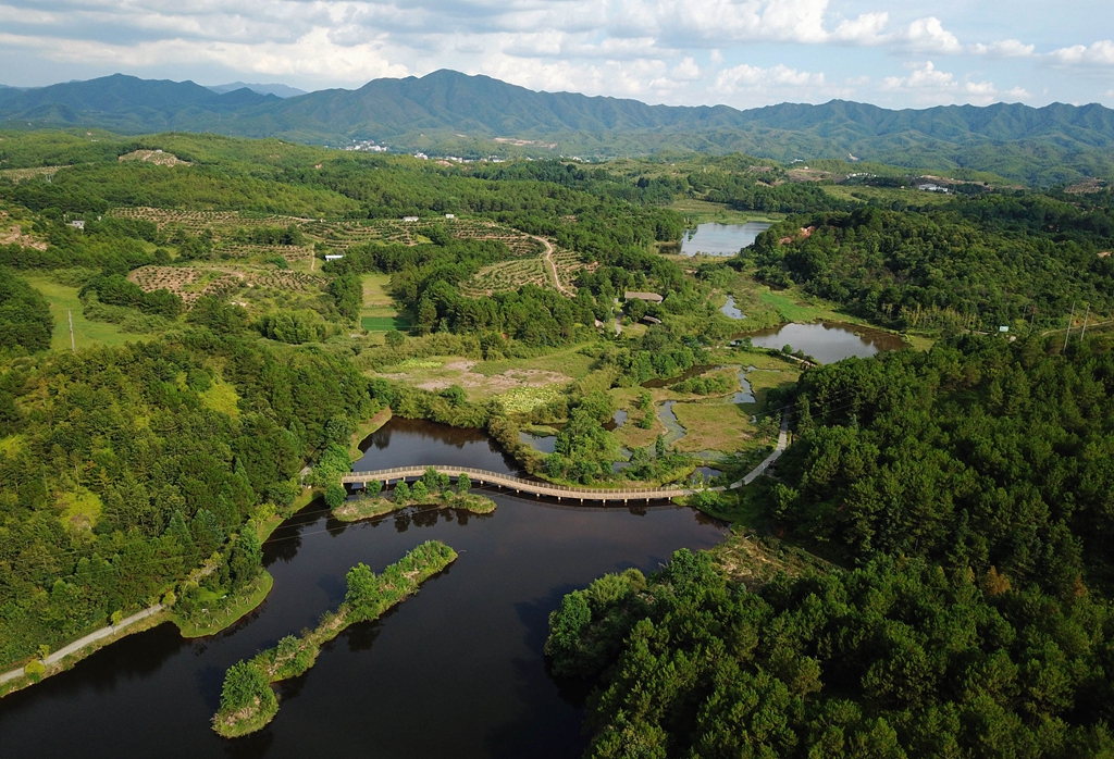 福建省龍巖市長(zhǎng)汀縣的長(zhǎng)汀汀江國(guó)家濕地公園景色（2020年7月28日攝，無(wú)人機(jī)照片）。新華社記者 魏培全 攝