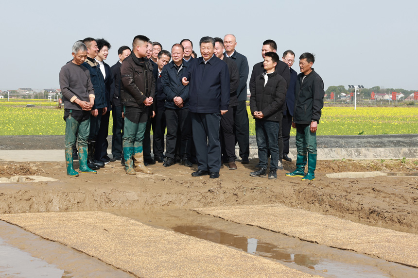 2024年3月18日至21日，中共中央總書記、國家主席、中央軍委主席習(xí)近平在湖南考察。這是19日下午，習(xí)近平在常德市鼎城區(qū)謝家鋪鎮(zhèn)港中坪村走進田間，察看秧苗培育和春耕備耕進展。新華社記者 王曄 攝