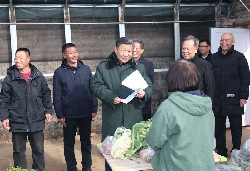 2024年2月1日，習(xí)近平總書記在天津市西青區(qū)辛口鎮(zhèn)第六埠村，走進(jìn)大棚同菜農(nóng)親切交流。
