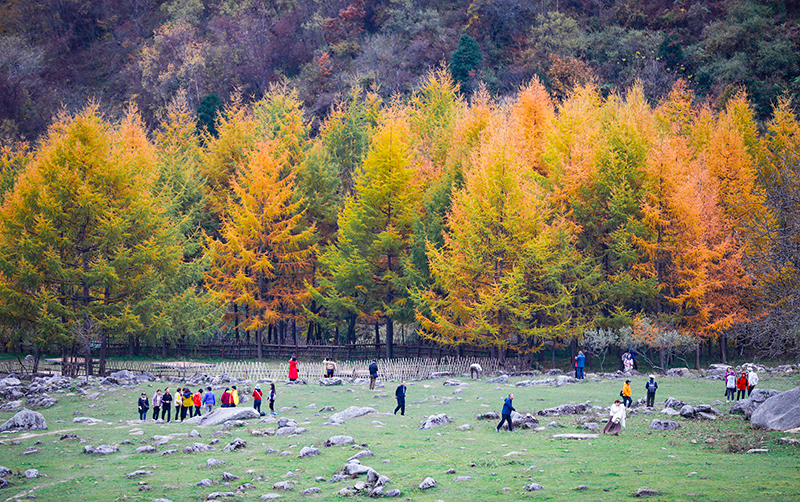 2023年10月27日，深秋時節(jié)的陜西秦嶺太子嶺漫山紅黃、色彩交織，進入最佳觀賞期。