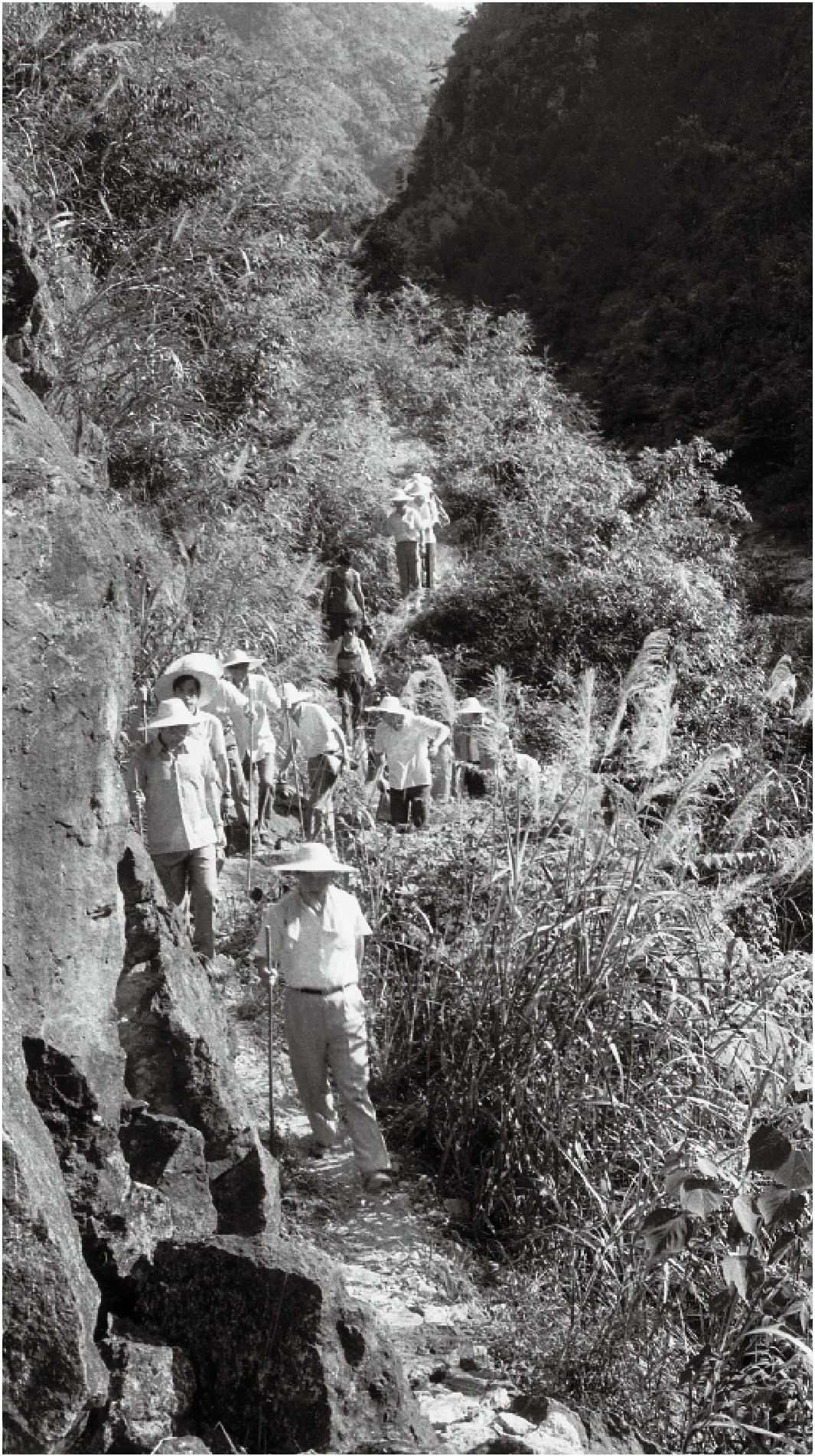 1989年7月，習(xí)近平一行到壽寧縣下黨鄉(xiāng)調(diào)研。