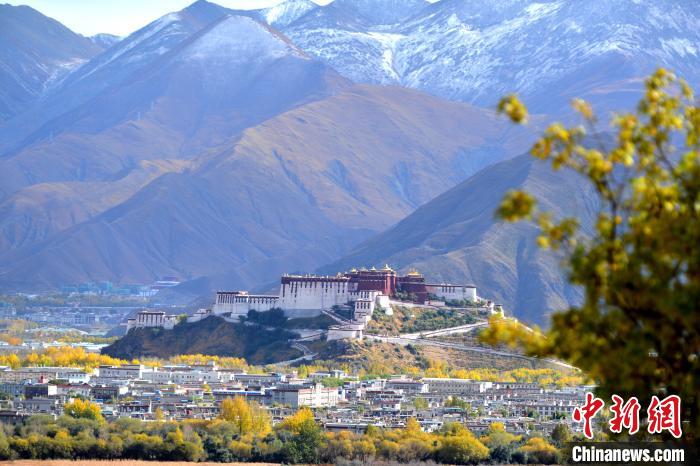 10月24日，雪山、布達(dá)拉宮和秋色組成“風(fēng)景畫(huà)”?！〗w波 攝