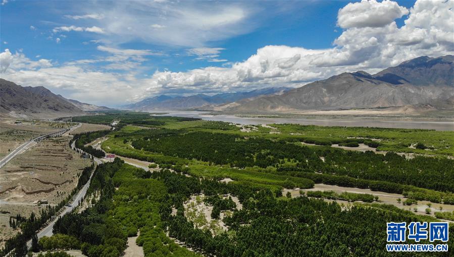 （環(huán)境）（1）雅江沿岸綠意濃