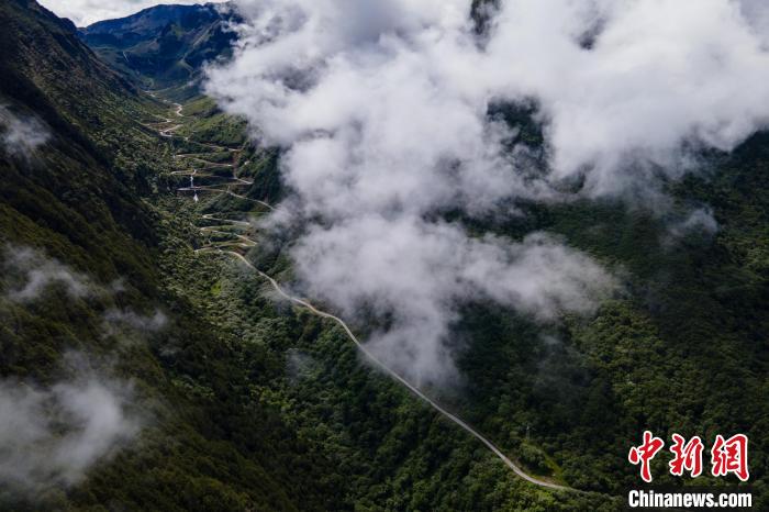西藏山南勒布溝景區(qū)的盤山公路被云霧環(huán)繞?！〗w波 攝