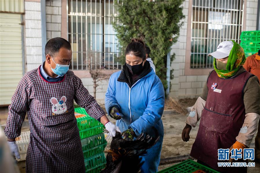 （脫貧攻堅(jiān)）（6）云南迪慶藏區(qū)：打好防疫脫貧兩場戰(zhàn)役