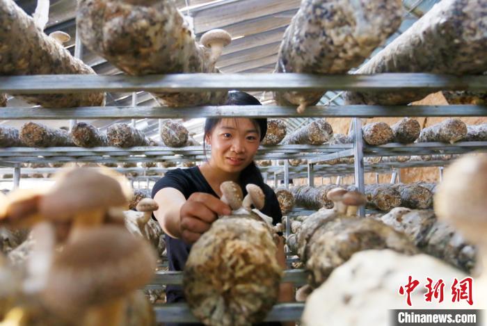 甘肅天?！跋愎椒蚱蕖毕律饺氪ǎ捍笈锢镉板X景”