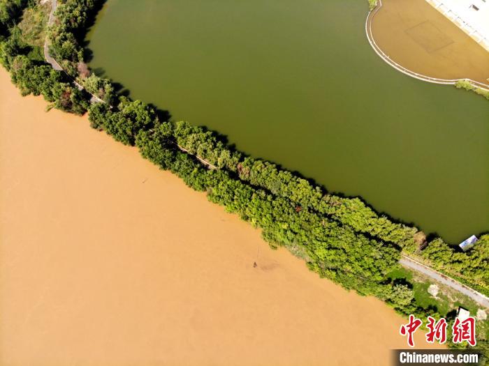 圖為2020年9月3日航拍黃河蘭州段濕地公園現(xiàn)黃河“鴛鴦鍋”。(資料圖) 高瑩 攝