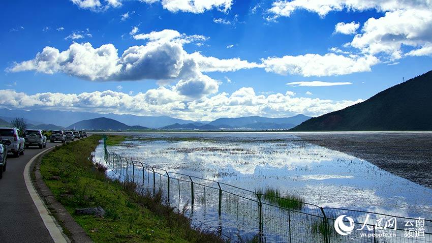 納帕海濕地。呂昊辰攝