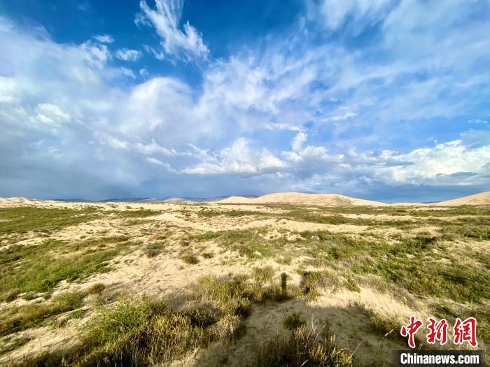圖為關(guān)停四年后的沙島景區(qū)現(xiàn)狀?！±罱瓕?攝