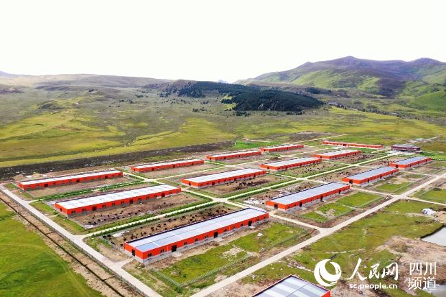 建設(shè)中的理塘縣牦牛產(chǎn)業(yè)園。葉強(qiáng)平攝