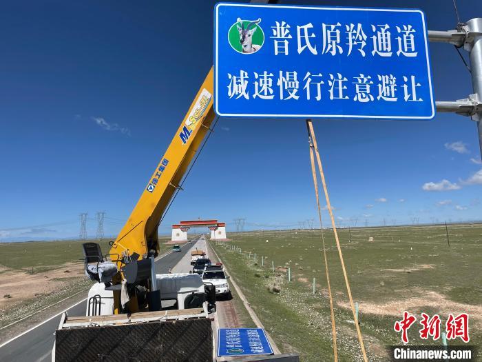 圖為青海省海北州剛察縣設(shè)立的普氏原羚通道警示牌。　青海省海北州人民檢察院供圖