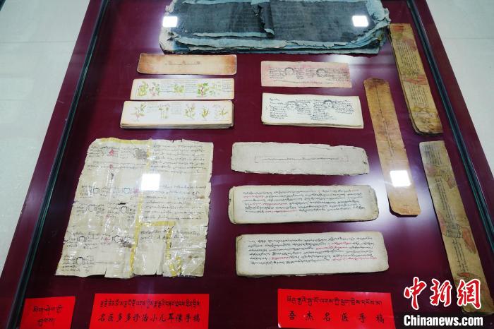 圖為藏醫(yī)古集文獻(xiàn)和藏醫(yī)臨床原始手稿?！●R銘言 攝